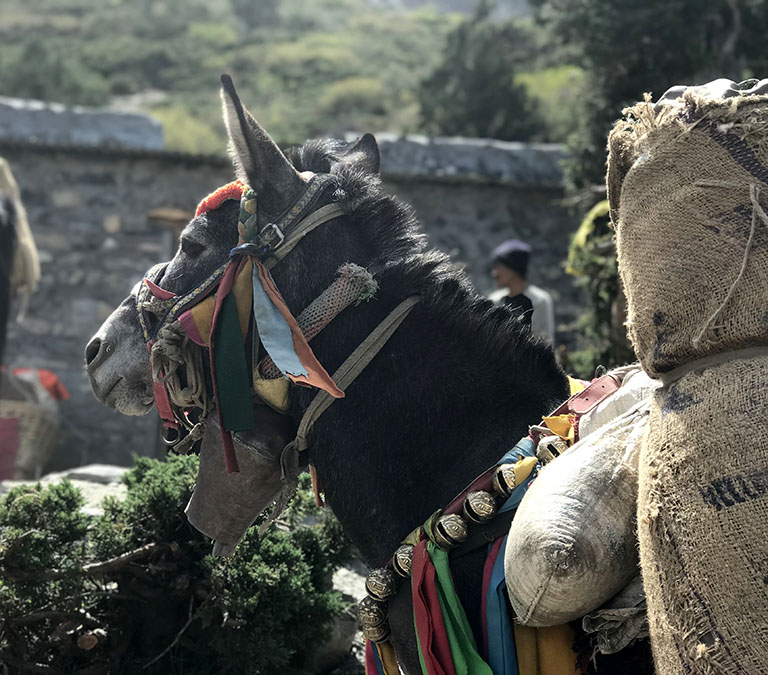 great himalaya trail 5