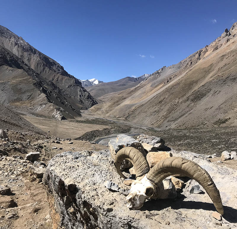  Upper & Lower Dolpo