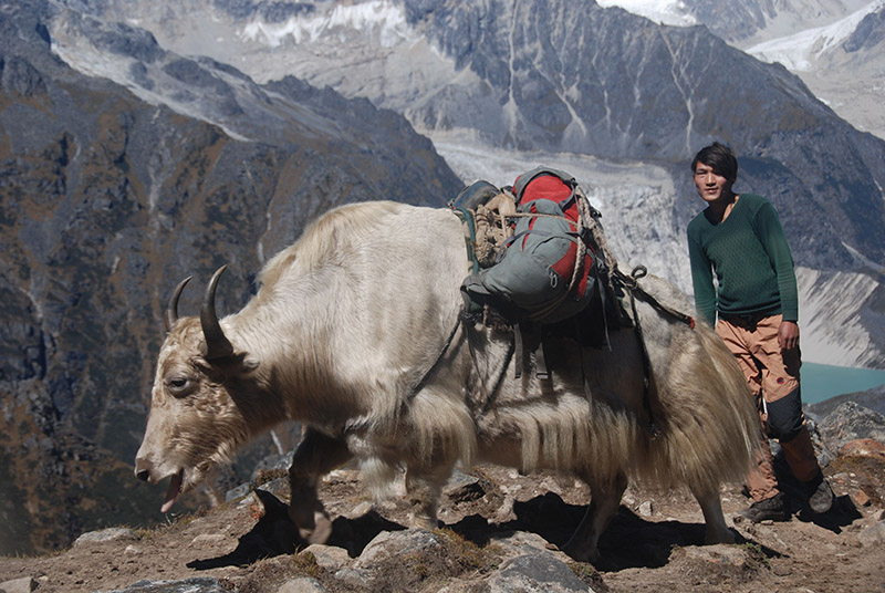 Snowman Trekking