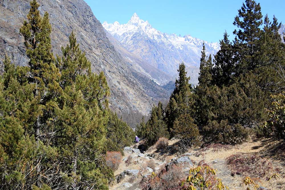 KANCHENJUNGA BASE CAMP TREK