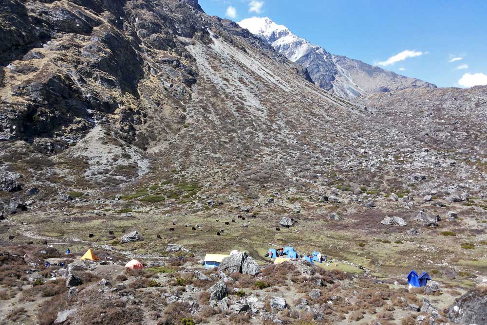 Tilman Trekking